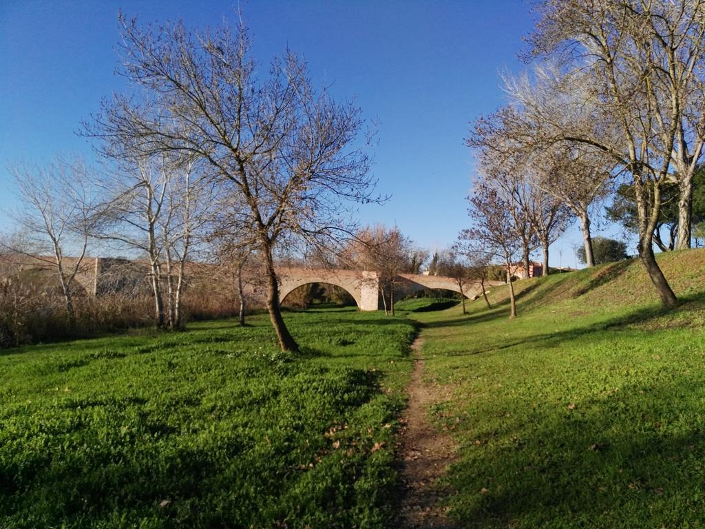 Newly Renovated Large Villa With Garden Castello  D'Empuries Exterior foto